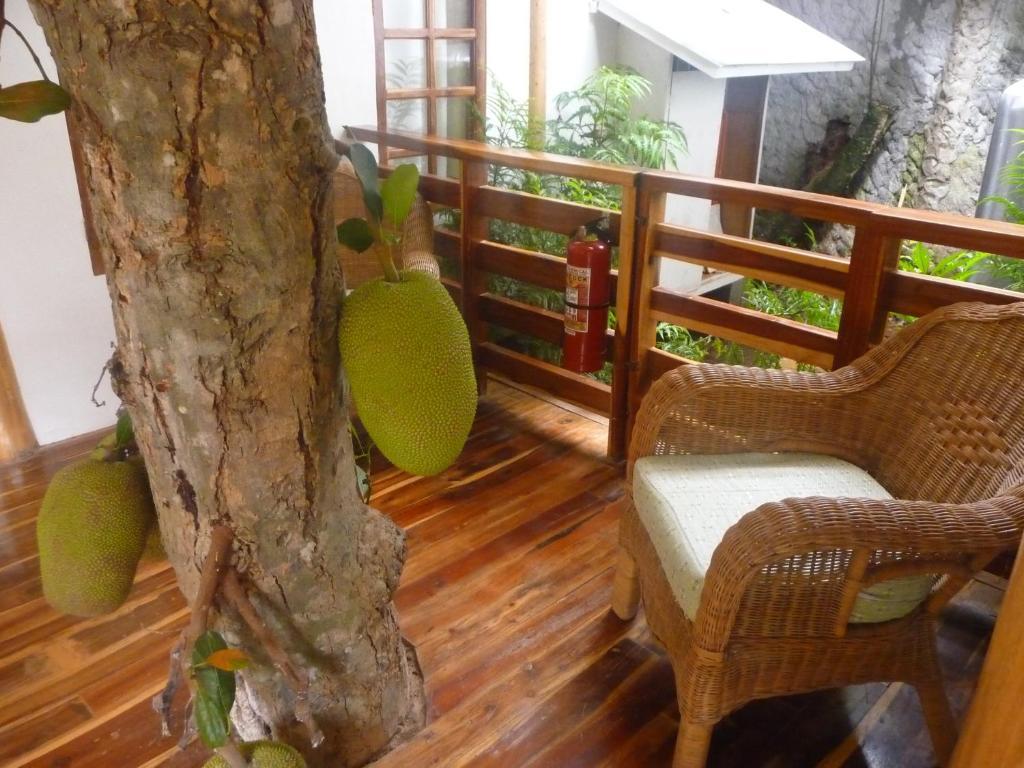 פורטו פרינססה Palo Alto Bed & Breakfast מראה חיצוני תמונה