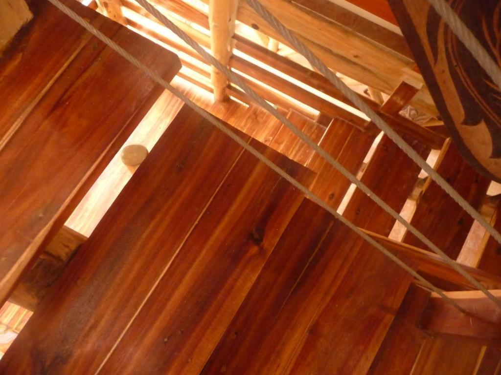 פורטו פרינססה Palo Alto Bed & Breakfast מראה חיצוני תמונה